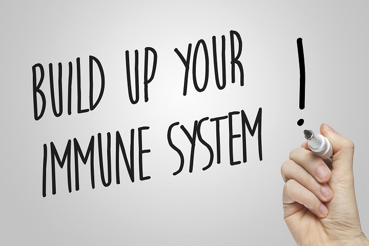 build immune system