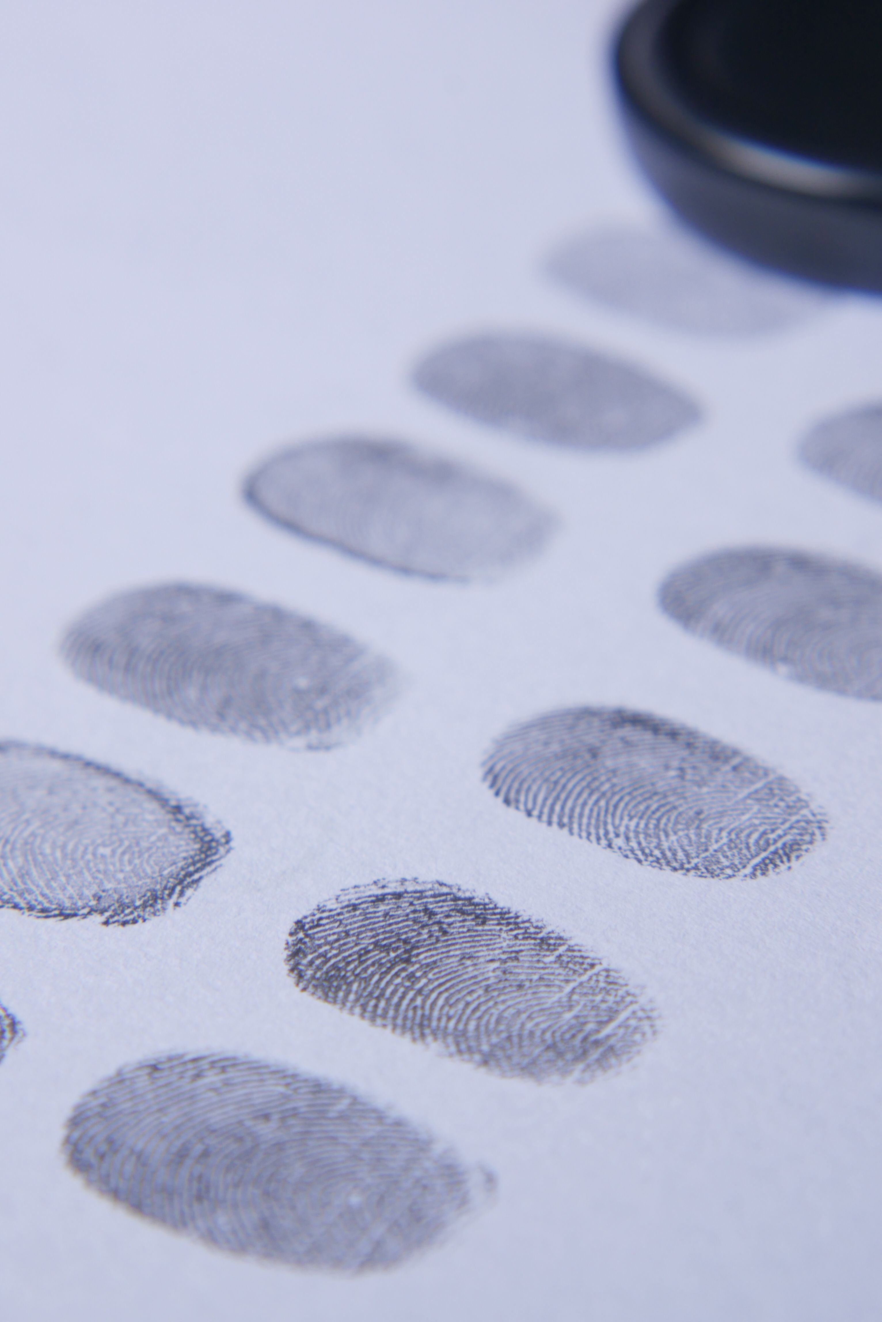 Biometric screening forms dashboard with FitDoc data validation